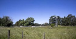 Campo de 38 hectáreas en Navarro