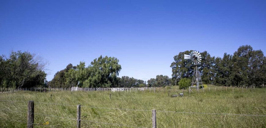 Campo de 38 hectáreas en Navarro