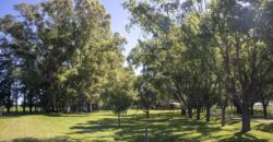 Campo de 38 hectáreas en Navarro