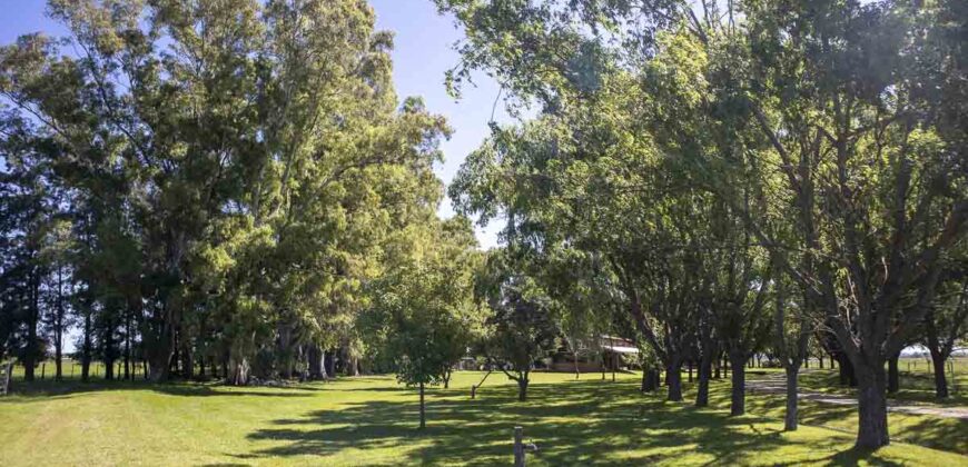 Campo de 38 hectáreas en Navarro