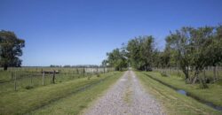 Campo de 38 hectáreas en Navarro