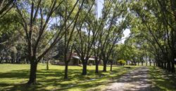 Campo de 38 hectáreas en Navarro