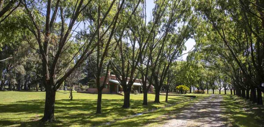 Campo de 38 hectáreas en Navarro