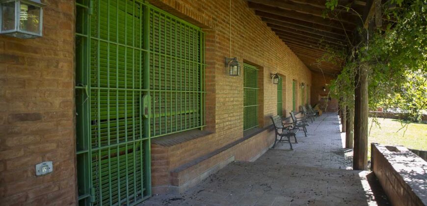 Campo de 38 hectáreas en Navarro