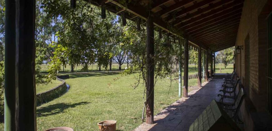 Campo de 38 hectáreas en Navarro