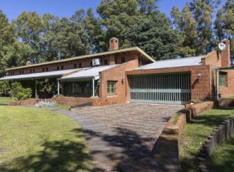 Campo de 38 hectáreas en Navarro