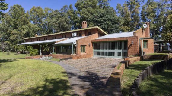 Campo de 38 hectáreas en Navarro