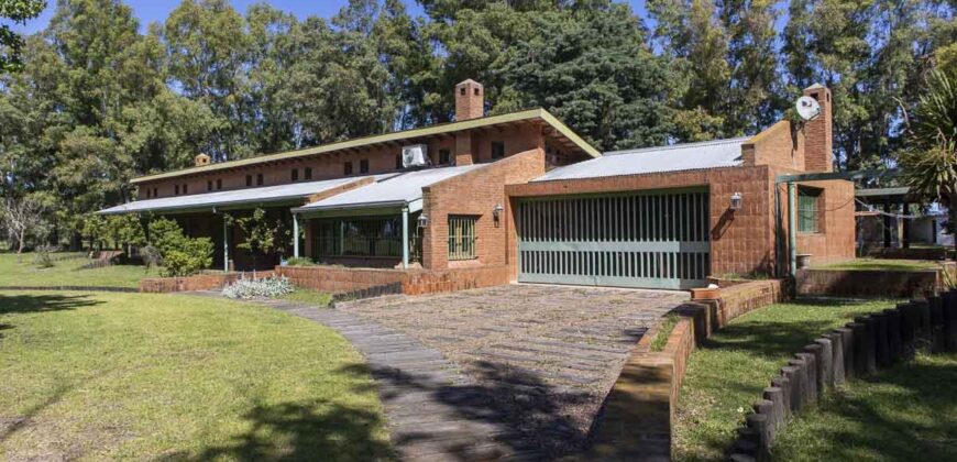 Campo de 38 hectáreas en Navarro