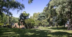 Campo de 38 hectáreas en Navarro