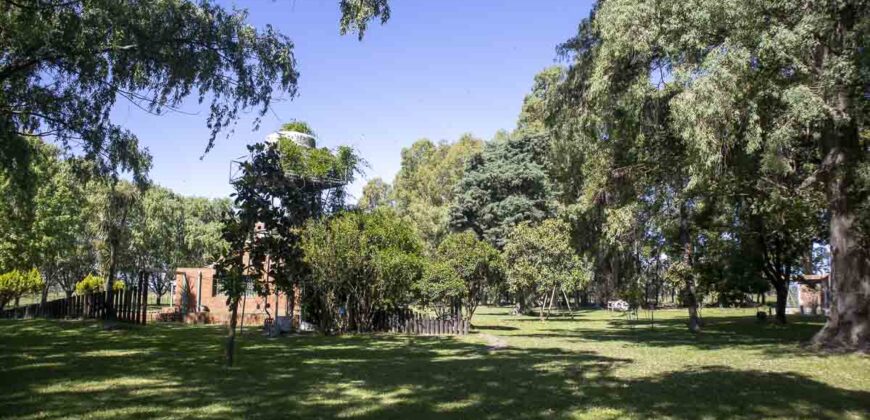 Campo de 38 hectáreas en Navarro