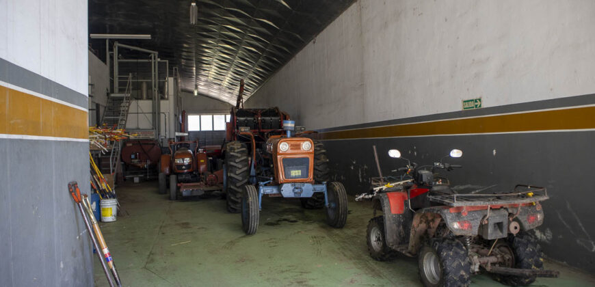 Campo de 38 hectáreas en Navarro
