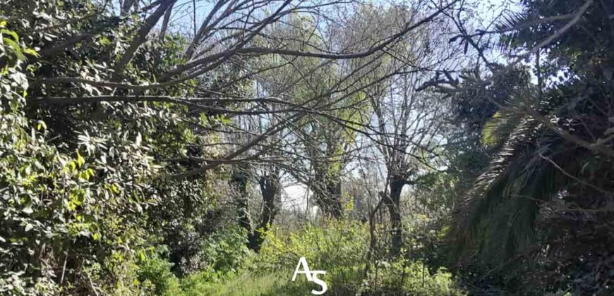 Lote de 2980 m2 en esquina