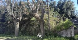 Lote de 2980 m2 en esquina