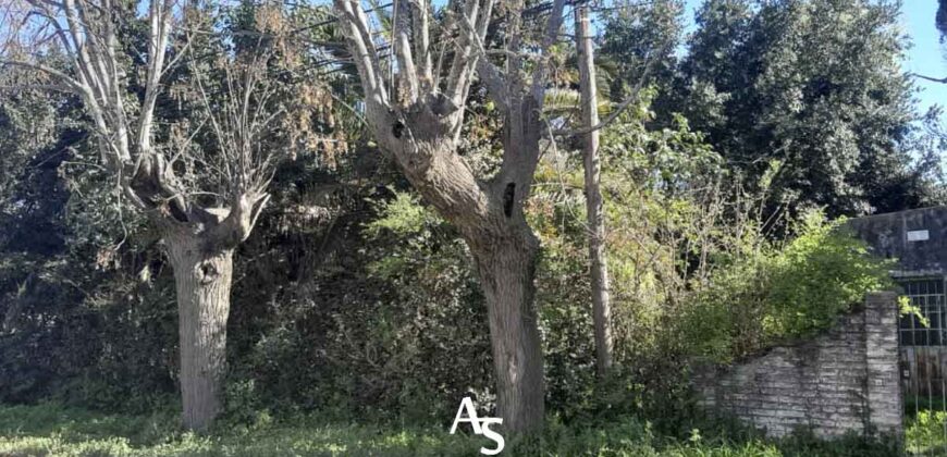 Lote de 2980 m2 en esquina