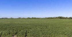 53 has sobre Autovía 6 – Ideal desarrollo inmobiliario o logístico