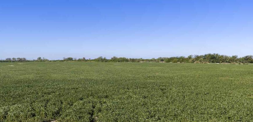 53 has sobre Autovía 6 – Ideal desarrollo inmobiliario o logístico