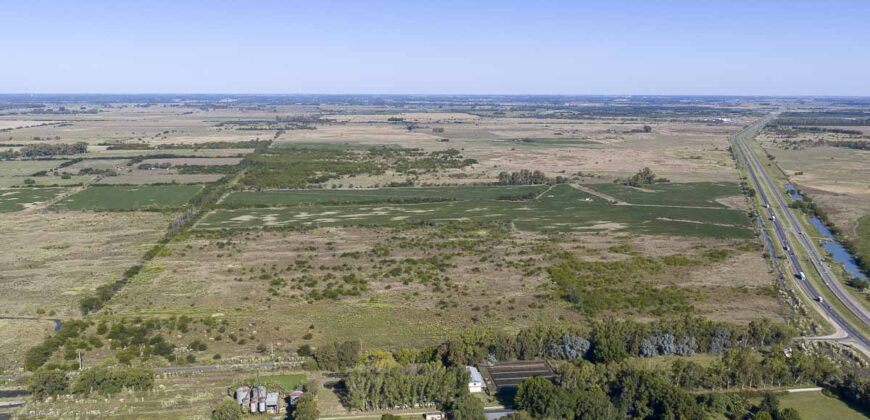 53 has sobre Autovía 6 – Ideal desarrollo inmobiliario o logístico