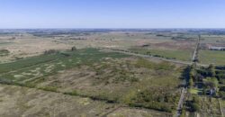 53 has sobre Autovía 6 – Ideal desarrollo inmobiliario o logístico