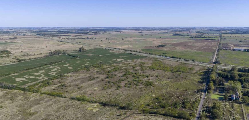 53 has sobre Autovía 6 – Ideal desarrollo inmobiliario o logístico