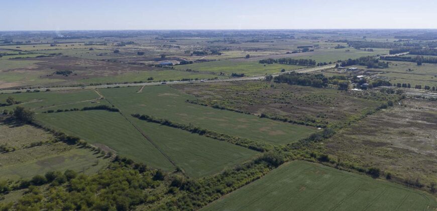 53 has sobre Autovía 6 – Ideal desarrollo inmobiliario o logístico