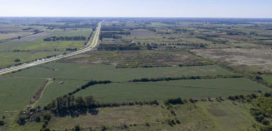 53 has sobre Autovía 6 – Ideal desarrollo inmobiliario o logístico