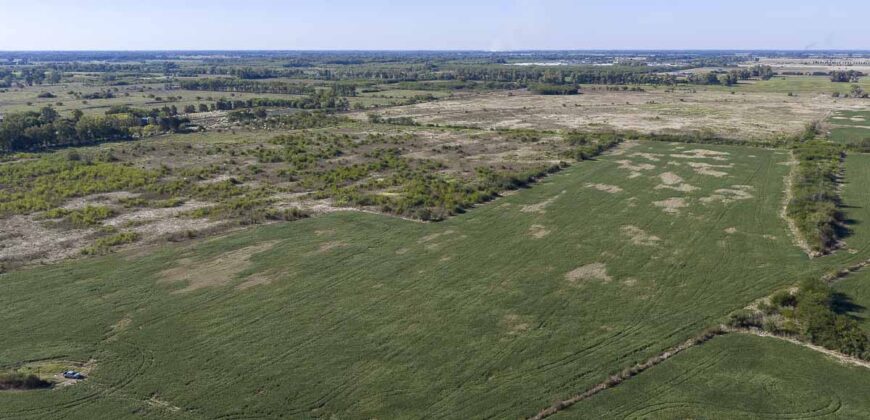 53 has sobre Autovía 6 – Ideal desarrollo inmobiliario o logístico