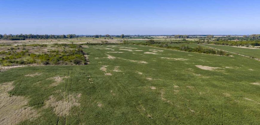 53 has sobre Autovía 6 – Ideal desarrollo inmobiliario o logístico