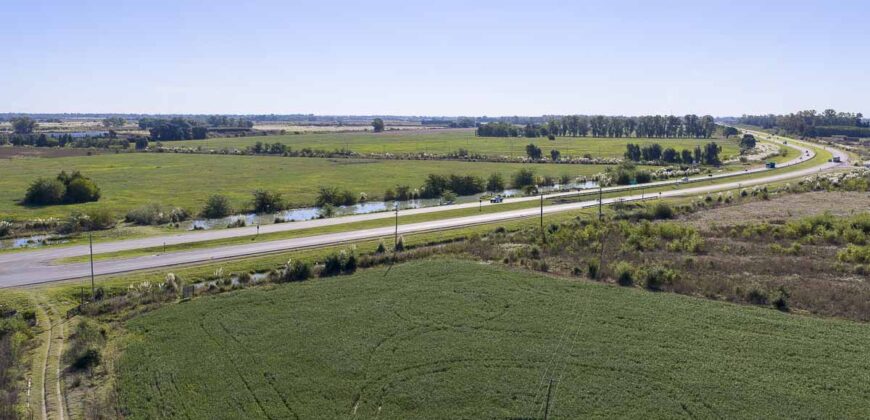 53 has sobre Autovía 6 – Ideal desarrollo inmobiliario o logístico