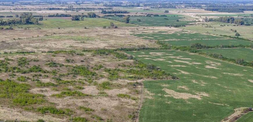 53 has sobre Autovía 6 – Ideal desarrollo inmobiliario o logístico