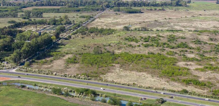 53 has sobre Autovía 6 – Ideal desarrollo inmobiliario o logístico