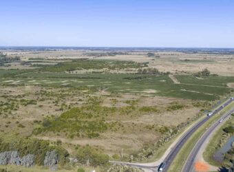 53 has sobre Autovía 6 – Ideal desarrollo inmobiliario o logístico