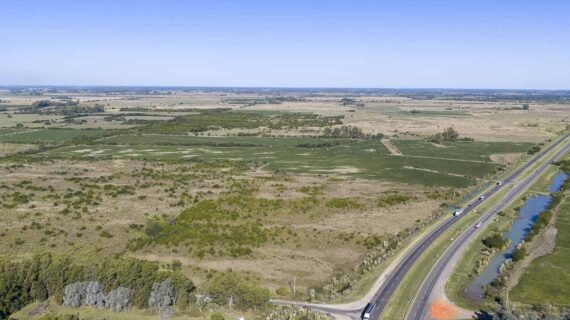 53 has sobre Autovía 6 – Ideal desarrollo inmobiliario o logístico