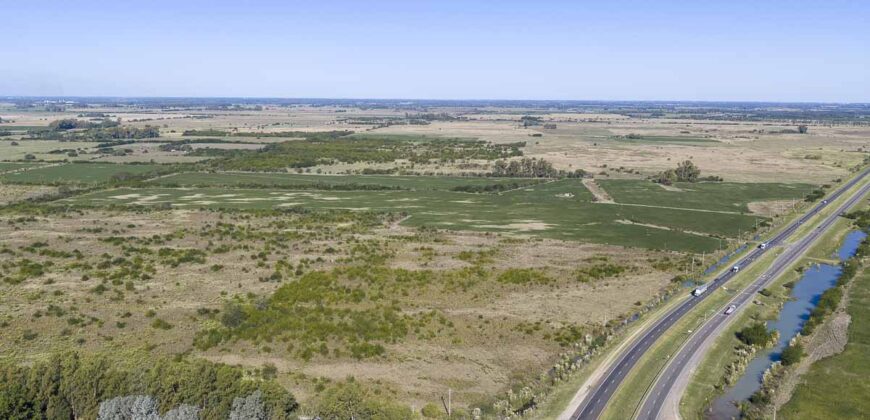 53 has sobre Autovía 6 – Ideal desarrollo inmobiliario o logístico