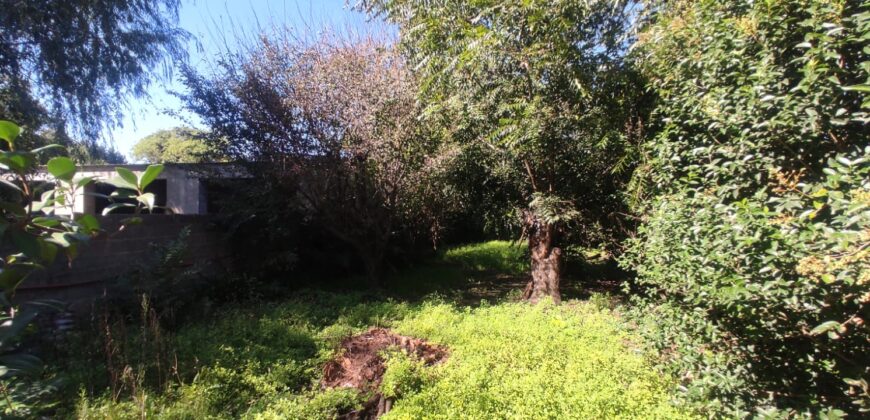 Casa con parque y pileta