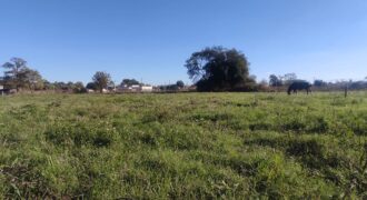 Terreno de 1051 m2