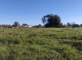 Terreno de 1051 m2