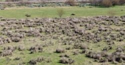 Campo mixto de 180 hectáreas en Lobos, Bs As