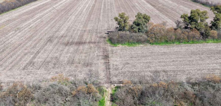 Campo mixto de 180 hectáreas en Lobos, Bs As