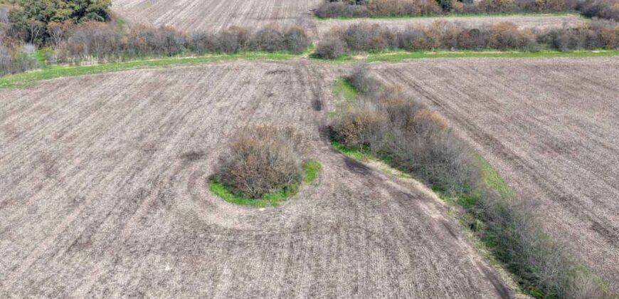 Campo mixto de 180 hectáreas en Lobos, Bs As