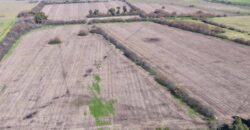 Campo mixto de 180 hectáreas en Lobos, Bs As
