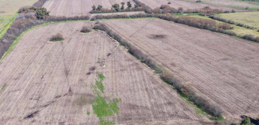 Campo mixto de 180 hectáreas en Lobos, Bs As