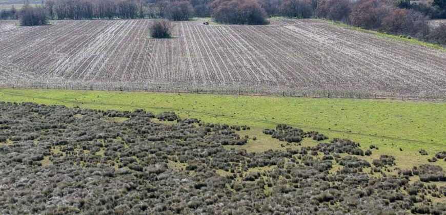 Campo mixto de 180 hectáreas en Lobos, Bs As