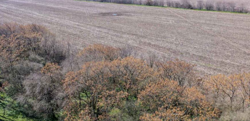 Campo mixto de 180 hectáreas en Lobos, Bs As