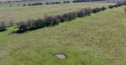Campo mixto de 180 hectáreas en Lobos, Bs As