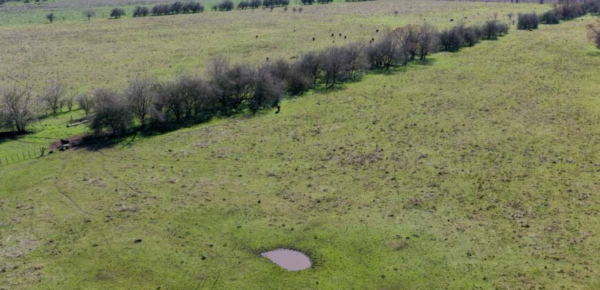 Campo mixto de 180 hectáreas en Lobos, Bs As