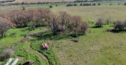 Campo mixto de 180 hectáreas en Lobos, Bs As