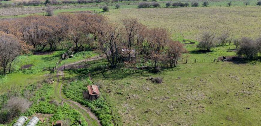Campo mixto de 180 hectáreas en Lobos, Bs As