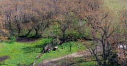 Campo mixto de 180 hectáreas en Lobos, Bs As