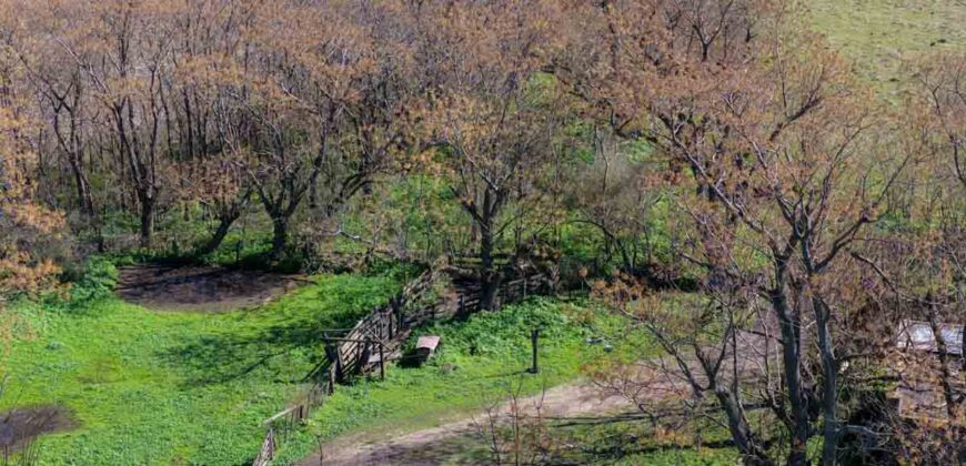 Campo mixto de 180 hectáreas en Lobos, Bs As