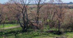 Campo mixto de 180 hectáreas en Lobos, Bs As
